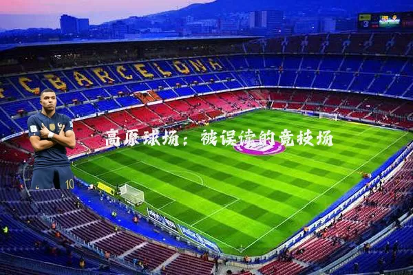 高原球场：被误读的竞技场