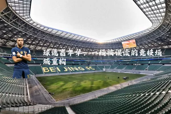 球迷嘉年华：一场被误读的竞技场域重构